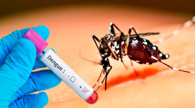Pernambuco teve aumento de mais de 100% nos casos prováveis de dengue